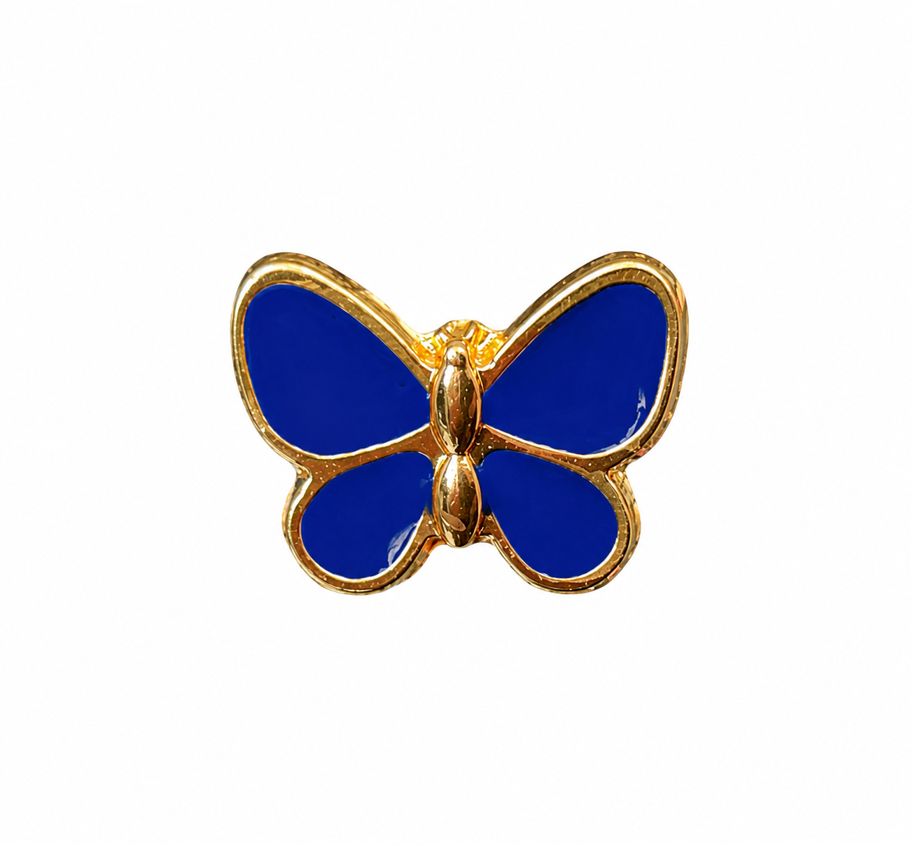 Borboleta p resinada - Imagem 14